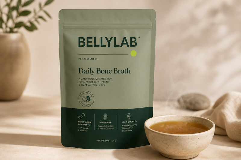 BELLYLAB Daily Bone Broth — clinically dosed gut wellness for dogs and cats
